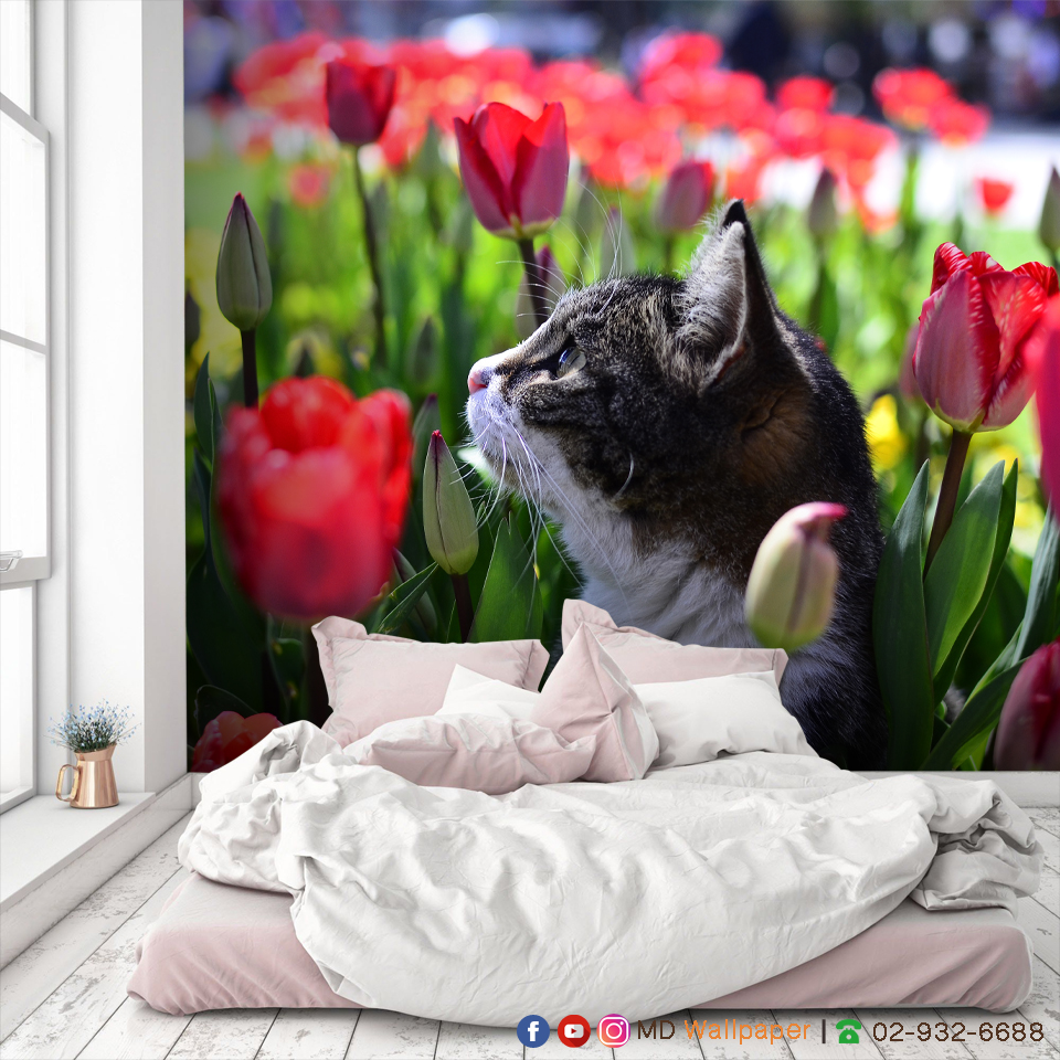 Wallpaper Printing 7 RM6